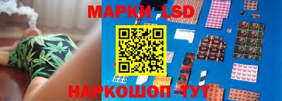 шишки Кингисепп