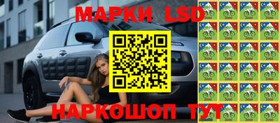 мяу мяу мука Кимры