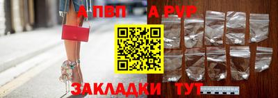 шишки Кингисепп