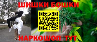 шишки Кингисепп