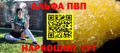 шишки Кингисепп