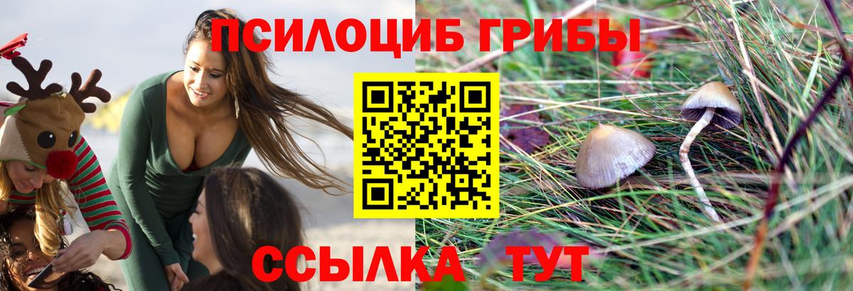 Благовещенск  Псилоцибиновые грибы прущие грибы  Вход с VPN 